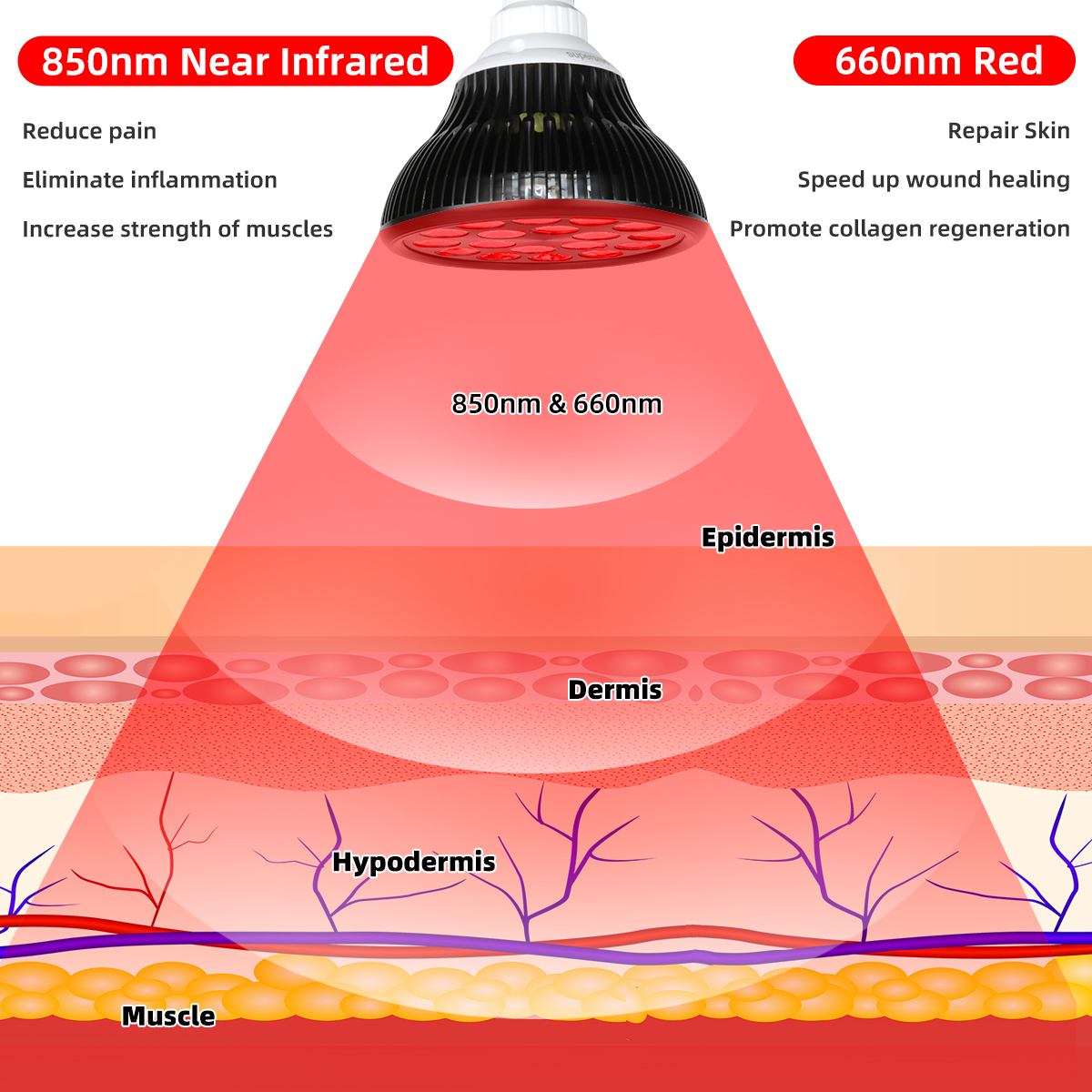 Muscle Pain Relief Portable LED Light Therapy 660nm 850nm Infrared Lamp 54w Bulb