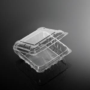 Disposable Clamshell Packaging PET PP PE Plastic Food Container Blister Box Clear Fruit Container Box