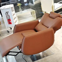 Fauteuil de Barbier Électrique BEIMENG, Mobilier de Salon d'Antiquités, Chaise de Barbier Vintage pour Salon de Coiffure, Vente en Gros
