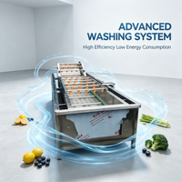 Nieuwe automatische fruit- en groentereinigingsmachinelijn, industriële belwasmachine voor groenteverwerkingsbedrijven met motor
