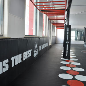 Gabbia Ottagonale da MMA e <span class=keywords><strong>Ring</strong></span> da Boxe per Allenamento di Combattimento Stile Arti Marziali Miste (MMA) Personalizzata Uso UFC - Product Image 2