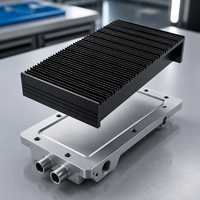 Radiateur en aluminium sur mesure à ailettes rainurées, anodisé noir, pour amplificateur haute puissance, module Peltier LED, alimentation électrique