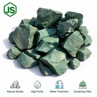 Zéolite naturelle Clinoptilolite, matériau filtrant adsorbant pour le traitement de l'eau, 100% naturel, 200 mesh, marque Jinshi, Hebei, SiO>86%, 1 tonne