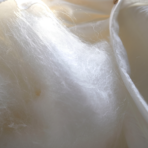 Venta caliente 100% Pupa de gusano de seda orgánica Durable y transpirable Comida de hotel Edredones de seda congelada de Vietnam - Product Image 1