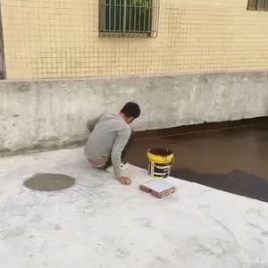 Strong Weather Resistance Waterproofing Roof Sealant Water Leak Control Waterproof Coating - Product Image 4