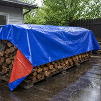Bâche en PE bleue et orange 0,5 m x 0,5 m, couverture imperméable pour camion, marchandises, jardin et protection extérieure