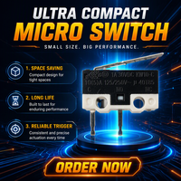 Micro-interrupteur KW10-CTSW3P150 de petite taille 1A SPST avec levier droit et borne PCB
