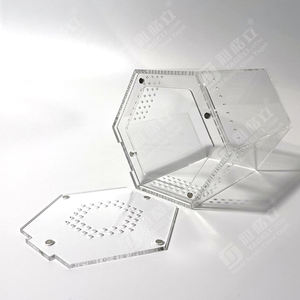 Boîtier de maison de tarentule de <span class=keywords><strong>reptile</strong></span> en acrylique hexagonal transparent personnalisé avec couvercle coulissant magnétique Vitrines d'exposition de <span class=keywords><strong>reptile</strong></span> en acrylique - Product Image 5