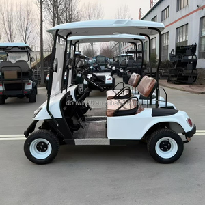 Voiture de <span class=keywords><strong>golf</strong></span> électrique compacte chinoise tout-terrain 2 places avec batterie au lithium et support de sac - Product Image 5