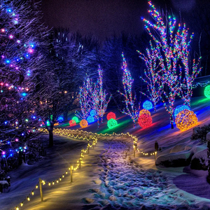 Guirlandes lumineuses <span class=keywords><strong>de</strong></span> Noël en fil <span class=keywords><strong>de</strong></span> cuivre à brancher - Guirlandes féériques étanches <span class=keywords><strong>pour</strong></span> intérieur et extérieur, <span class=keywords><strong>pour</strong></span> la décoration <span class=keywords><strong>de</strong></span> l'arbre <span class=keywords><strong>de</strong></span> Noël, des fenêtres et des fêtes - Product Image 4