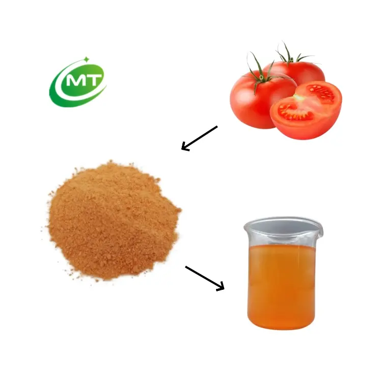 チップスとフライドチキン用の高品質のスパイシートマトパウダー