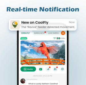 Nieuwste producten Slimme Vogelvoeder met Camera, 2K HD Vogelobservatiecamera AI Identificatie Weerbestendig Traagloze Kolibrie - Product Image 5
