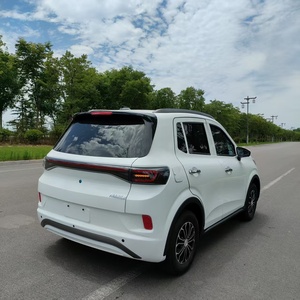 Gran oferta Hogar personalizado Auto 3500W AC nueva energía vehículo eléctrico LHD coche eléctrico para adultos Taxi viaje de corta distancia COC - Product Image 6