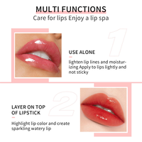 Brillant à lèvres repulpant longue durée de marque privée huile pour les lèvres végétalienne hydratante Base de maquillage liquide infusé aux minéraux