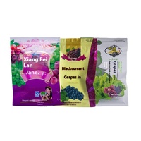 Liquidation spéciale Xinjiang spécialité Xiangfei roi cassis raisin rouge jujube sac d'emballage fruits secs BOPP/CPP sac en plastique