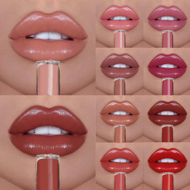 5 in 1 Matte Lipstick Kit