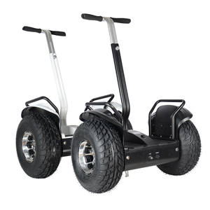 Scooter Eléctrico Todoterreno de 19 Pulgadas con 2 Ruedas y Autoequilibrio, Modelo SU-006L - Product Image 1