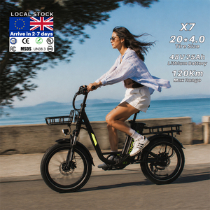 Bicicleta Eléctrica Híbrida X7 250w Fatbike 48v en Stock en la UE, Almacén en el Reino Unido, Batería de Alta Capacidad 25Ah, Bicicleta Urbana para Entregas, X7 en Oferta, Tamaño Mini - Product Image 3