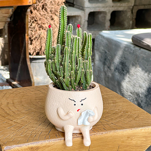 Jardinière <span class=keywords><strong>de</strong></span> succulentes en forme <span class=keywords><strong>de</strong></span> méchant <span class=keywords><strong>de</strong></span> dessin animé écologique en résine enduite d'époxy légère durable pour créatif et intéressant - Product Image 5