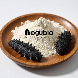 Aogubio High Quality Sea <strong>Cucumber</strong> <strong>Extract</strong> Sea <strong>Cucumber</strong> <strong>Extract</strong> Natural Sea <strong>Cucumber</strong> <strong>Extract</strong> Powder - Product Image 4