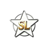 Henan Salun Import and Export Trading Co., Ltd. logo