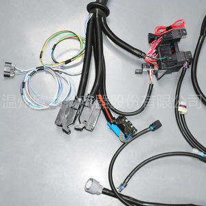 Arnés de cableado completo independiente para motor DBW de 6.2L W-6L80E para camión con transmisión manual - Product Image 3