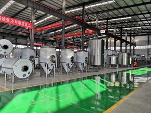 ถังเบียร์คราฟต์ 1000 ลิตร 2000 ลิตร 3000 ลิตร 5000 ลิตร ถังเบียร์บริท บีบีที/ถังเก็บ - Product Image 6