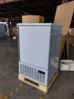 Congélateur-chiller commercial 10 plateaux en acier inoxydable avec refroidissement par air/ventilateur -40°C, congélation rapide et dégivrage automatique