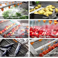 Laveuse de légumes à rouleaux brossés LWT pour le nettoyage et le pelage des choux-fleurs, du gingembre, du manioc, des radis – Machine de traitement des aliments et des fruits