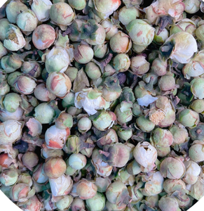 <span class=keywords><strong>100</strong></span>% натуральное чайное дерево, цветы камелии, сушеные цветочные бутоны камелии для чая - Product Image 5