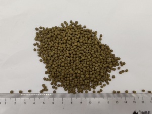 Granulés de spiruline de qualité supérieure AQUAV pour poissons de compagnie - Product Image 5