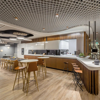 Fabricants de plafonds en Chine, système de faux plafond en métal, plafond en aluminium