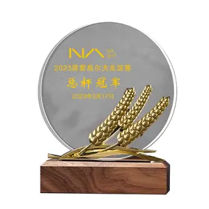 China factory high end blank crystal glass trophy award per regali aziendali di souvenir di anniversario