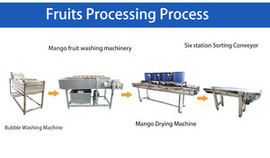 Línea de Lavado y Secado Lulo con Circulación de Aire Caliente - Product Image 6