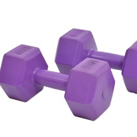 Ensemble d'haltères hexagonales en plastique de 5 kg pour entraînement à domicile, rempli de ciment et de sable, personnalisable OEM JS JS-1710, pour exercices de fitness complets, MOQ