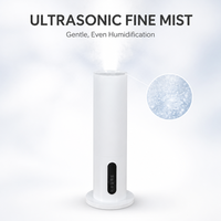 Humidificateur d'air ultrasonique à brume froide électrique de 5 litres avec faible niveau sonore, garantie d'un an pour une utilisation domestique et au bureau