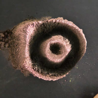 Poudre magnétique forte effet œil de chat, pigment caméléon à changement de couleur, paillettes réactives magnétiques pour nail art, résine époxy, artisanat, revêtement et colorant