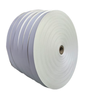 Rouleau de fond de gobelet en papier enduit PE à paroi unique de haute qualité Prix d'usine de gros Bonne qualité pour l'utilisation de l'eau minérale