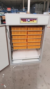 Capacidad <span class=keywords><strong>de</strong></span> 1000 <span class=keywords><strong>huevos</strong></span>, Incubadora automática <span class=keywords><strong>de</strong></span> pollos - Product Image 2
