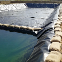 Membrane géocomposite en géotextile polyester HDPE renforcé de 1 mm, protection double couche pour pentes industrielles raides, barrages, étangs et fermes piscicoles