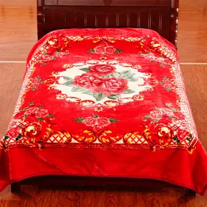Одеяло Raschel, современный стиль, плюшевое одеяло из норки, Raschel, одеяло из 100% полиэстера, 2-слойное одеяло Raschel