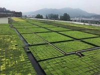 Bac de plantation vert pour toiture, pot de jardin en plastique, plateaux de culture en plastique, bacs à semis