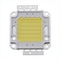 Lámparas LED Integradas de Alta Potencia 10W-100W, Fuente de Luz Blanca Cálida, Alto Brillo, Temperatura de Color 3000K/6000K, CRI 70-80