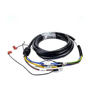 High Quality Custom Cable Wiring Harness Professional Assembly Supplier PVC Insulation Solid Conductor 300V Rated Voltage