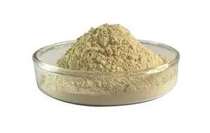 Высококачественный органический порошок шелухи псиллия Премиум пищевая добавка для оптовых поставок - Product Image 3