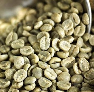 Vietnamese Specialty Arabica S16+ Green <b>Coffee</b> <b>Beans</b> Processed By Wet Hulled Method Certified And Traceable <b>Beans</b> - Product Image 4