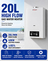 Chauffe-eau instantané au gaz 20L, type cheminée, mural, sans réservoir, pour eau chaude domestique continue