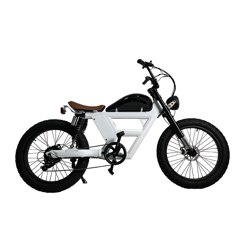 ホットマン セール 500W電動自転車1000wマウンテンEバイクファットタイヤ電動自転車 自転車本体