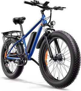 AMYET Usine Pas Cher 26/27.5/29 -inch Lithium Meilleure Batterie Vélo Électrique E-Bike 1000w 48v E Bike Vélo Électrique pour Adultes - Product Image 1