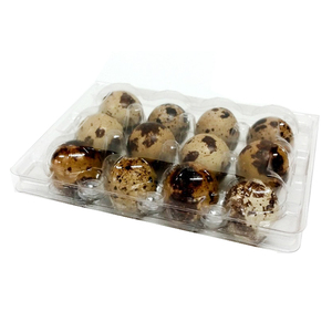 12 quail eggs Carton packing box Plastic blister quail egg packing box /quail egg tray for sale